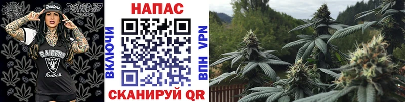 Бошки марихуана тримм  Адыгейск 